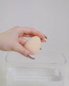 Essential Beauty Sponge